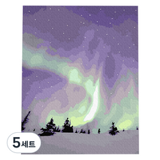 플레이어바웃 DIY 명화 유화 그림그리기 세트 40 x 50 cm, 별빛 속 오로라, 5세트