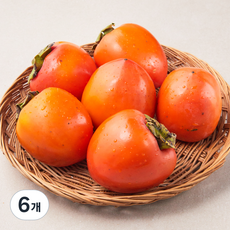 맛뜨레 후숙하면 정말 맛있는 대봉시 6입팩, 1.6kg, 6개