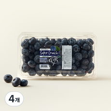 미국산 슈퍼크런치 블루베리, 310g, 4개