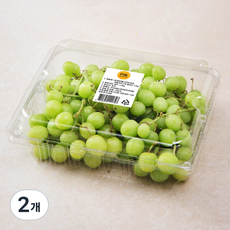 PSK 호주 오톰크리스피 청포도, 1.2kg, 2개
