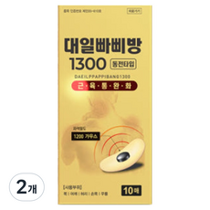 대일밴드 빠삐방 1300 자기발생기 동전타입, 10개입, 2개