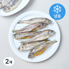 영광수협 몸애 좋은 조기 8~10미 (냉동), 2개, 500g