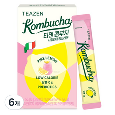 티젠 콤부차 시칠리아 핑크레몬, 5g, 10개입, 6개