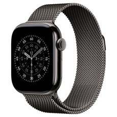 Apple 2025 Apple Watch S11 石瓦色鈦金屬, GPS + 行動網路, 42mm