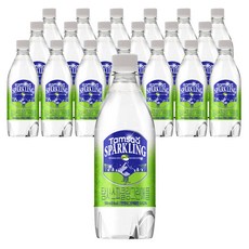 탐사 스파클링 그린애플, 500ml, 20개