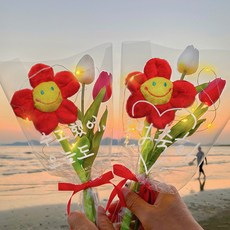 이플린 내맘대로 쓰는 레터링 꽃다발 2p + 펜 + LED 전구 2p 세트, 레드(꽃다발), 화이트(펜), 1개