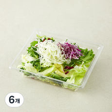 곰곰 한끼 캐비지 믹스 샐러드채소, 80g, 6개, 1개입