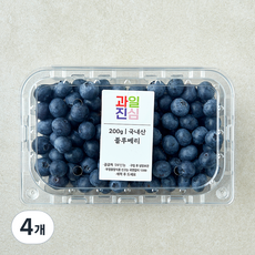 국내산 과일진심 블루베리, 4개, 200g
