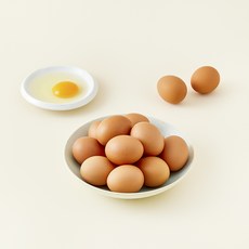 가농 오늘낳은 농장직송 비타민에그 1+ 등급 특란, 25구, 1개