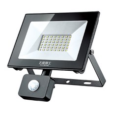 MAX STAR 太星電工 太星電工 LED感應投射燈 30W 110~220V, 1個