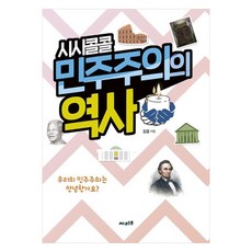 시시콜콜 민주주의의 역사:우리의 민주주의는 안녕한가요?, 써네스트, 김결