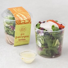 팜플래닛 유자 훈제치킨 샐러드, 195g, 2개