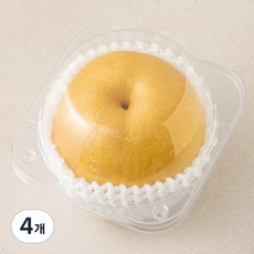 원농산 원황배, 4개, 550g
