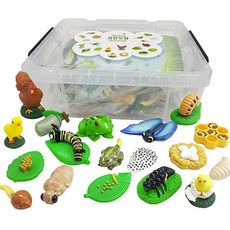 Joy Mass 軟增長模型集, 1套