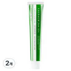 로다움프롬씨 시린이 잇몸질환 전용 카펠라 검케어 치약, 100g, 2개