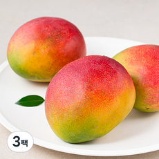 과일엔 페루산 애플망고 3입, 3팩, 1.1kg