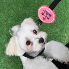 올치 반려동물 찍찍이 산책 패치 펫티켓 인식표 와펜 사랑, 핑크 + 사랑, 1개