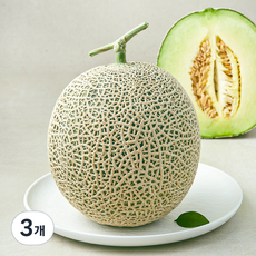맘에쏙 곡성 고당도 멜론, 2.5kg, 3개