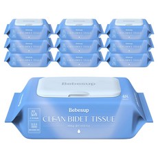 베베숲 클린비데 화장실용 물티슈 캡형, 55g, 48매, 10개