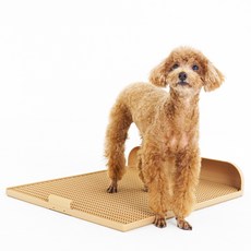 DOGTOC 狗狗延長型排便板, 1個, 砂米黃