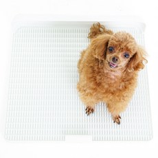 DOGTOC 狗狗標準型便盆, 1個, 白色