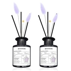 엠퓨처 프리미엄 화장실 실내 방향제 디퓨저 + 리드꽃 랜덤발송 2p 세트, 욜란다, 150ml, 1개