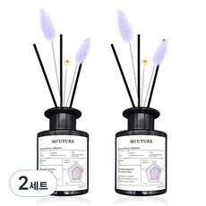 엠퓨처 프리미엄 화장실 실내 방향제 디퓨저 + 리드꽃 랜덤발송 2p 세트, 욜란다, 150ml, 2세트