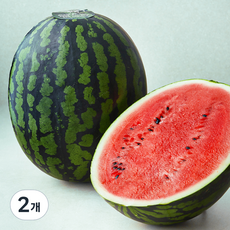 한반도 양구 당도선별 하우스 수박, 9kg 이상, 2개