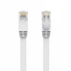 POLYWELL CAT6 高速網路線 PW15-W58-B003, 30cm, 白色, 1條