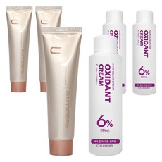 에비뉴쉬에뜨 앱솔루트 컬러링 크림 염색제 120g + 산화제 100ml, 밤색을띠는황갈색, 3개