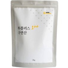 SODA SCHOOL 2Plus 檸檬酸, 1個, 2kg