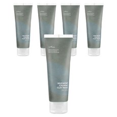 이즈앤트리 머그워트 카밍 클레이 마스크 100ml, 1개입, 5개