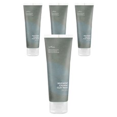 이즈앤트리 머그워트 카밍 클레이 마스크 100ml, 1개입, 4개