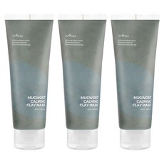 이즈앤트리 머그워트 카밍 클레이 마스크 100ml, 1개입, 3개