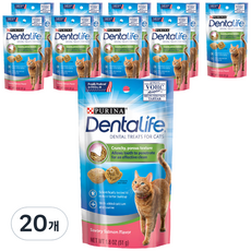 퓨리나덴탈라이프 캣 트릿 고양이 간식, 연어맛, 51g, 20개