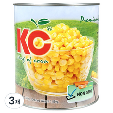 썬스위트 신세계푸드 홀 커널 옥수수 스위트콘, 3개, 2.95kg