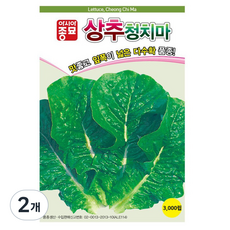 아시아종묘 상추 청치마 씨앗 3000p, 2개