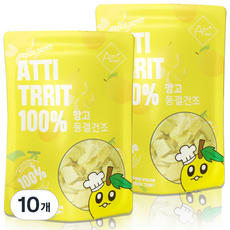 아띠지기 강아지 동결건조간식, 망고, 40g, 10개