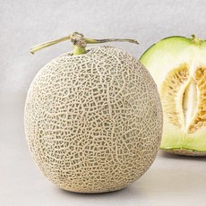 곰곰 머스크 멜론, 1.5kg, 1개