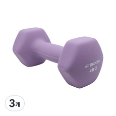FITBOON 氯丁橡膠啞鈴 紫羅蘭色, 4kg, 3個