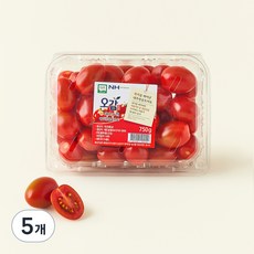 충남오감 세도농협 GAP 인증 대추방울토마토, 750g, 5박스