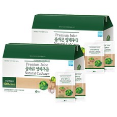 올즙 올바른 양배추즙, 2.7L, 2개