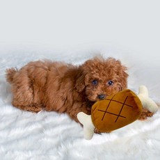 HA:MIL 寵物智能骨玩具, 單色, 1個