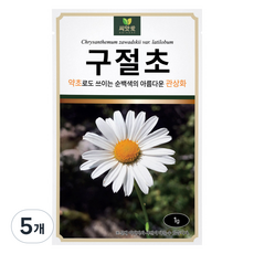 다농 씨앗애 구절초 씨앗 1g, 5개