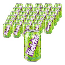 웰치스 청포도, 355ml, 48개