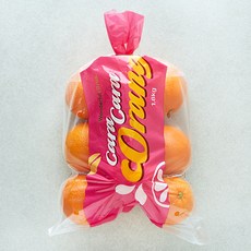 원더풀 카라카라 오렌지, 1개, 1.8kg