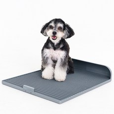 DOGTOC 狗狗加長型便盆, 1個, 銀色