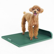 DOGTOC 狗狗加長型便盆, 1個, 橄欖綠