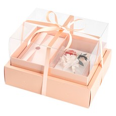 뮤니드 그레이스 쇼케이스 리본 용돈 선물상자 + 용돈봉투, 핑크(선물상자), 피치(리본), 1개