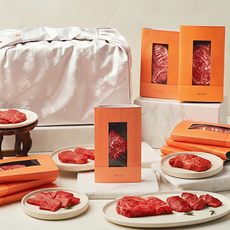 설로인 한우 1++등급 플래티넘 S10 선물세트 (냉장) 꽃등심400g*3+갈비살200g+꽃갈비살200g+채끝400g*3+살치살200g*2+안창살200g+안심150g*4, 4000g, 1세트